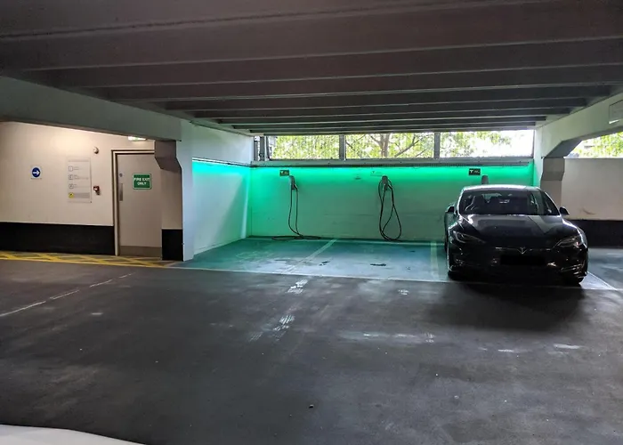 King Deluxe Large Space& Free Parking! No Balcony